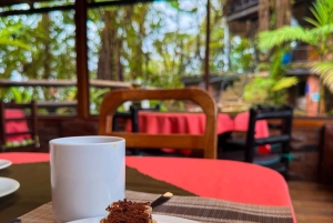 キト：2日間のクラウドフォレスト体験をお楽しみください