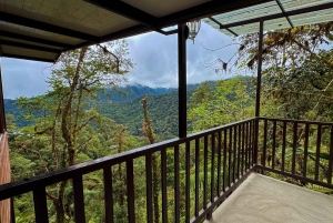 キト：2日間のクラウドフォレスト体験をお楽しみください