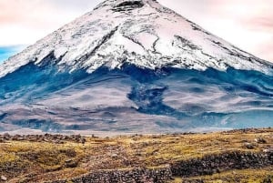 Quito: 2-tägige Cotopaxi-Besteigungstour