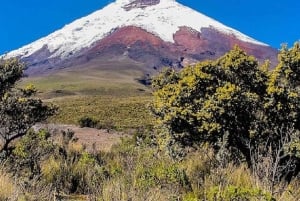 Quito: 2-tägige Cotopaxi-Besteigungstour