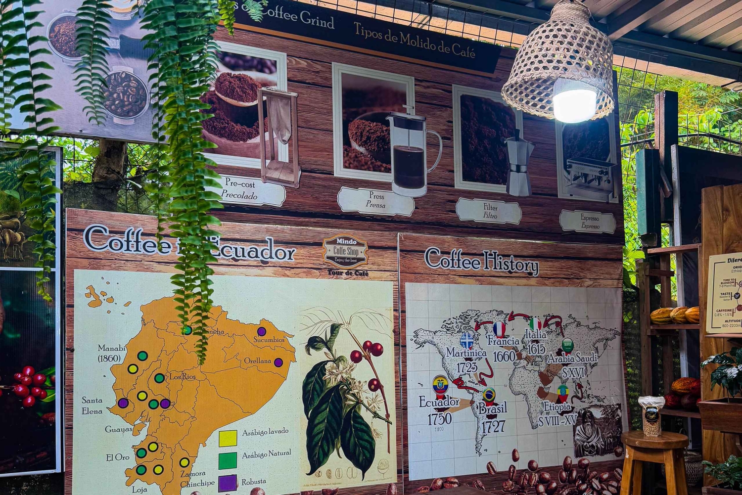 Quito: 2-Day Mindo Cloud Forest Adventure