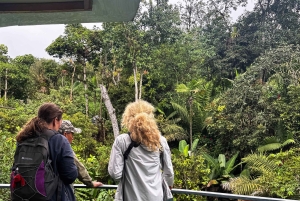 Quito: 2-Day Mindo Cloud Forest Adventure