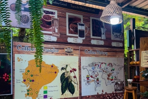 Quito: 2-Day Mindo Cloud Forest Adventure