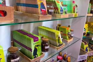 Quito: 2-Day Mindo Cloud Forest Adventure