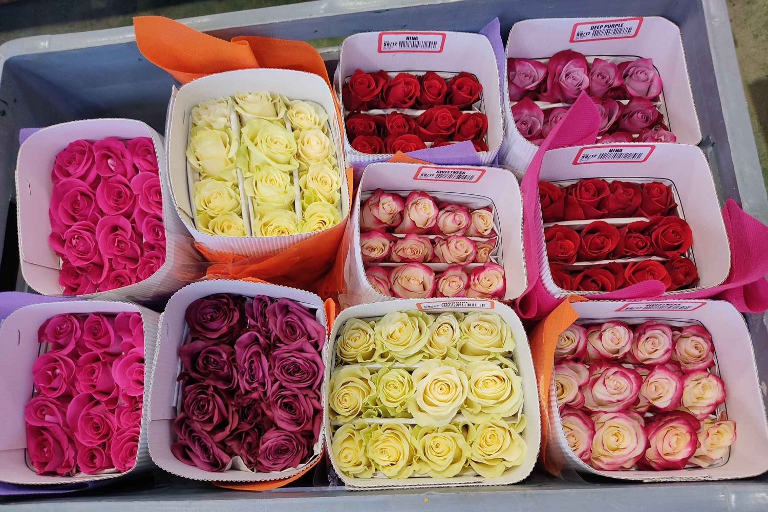 Quito: excursão cultural de 2 dias a Otavalo e Nayón