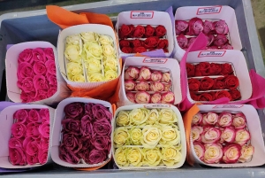 Quito: excursão cultural de 2 dias a Otavalo e Nayón