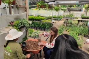 Quito: excursão cultural de 2 dias a Otavalo e Nayón