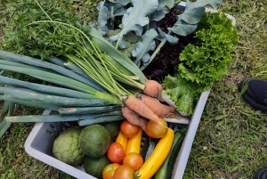 Quito: excursão cultural de 2 dias a Otavalo e Nayón