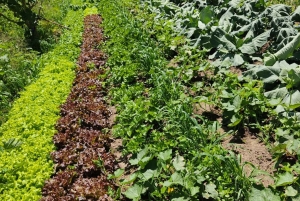 Quito: excursão cultural de 2 dias a Otavalo e Nayón