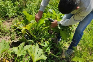 Quito: excursão cultural de 2 dias a Otavalo e Nayón