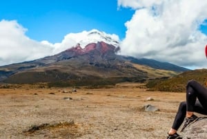 Quito: 2-Tages-Tour zum Cotopaxi & Quilotoa