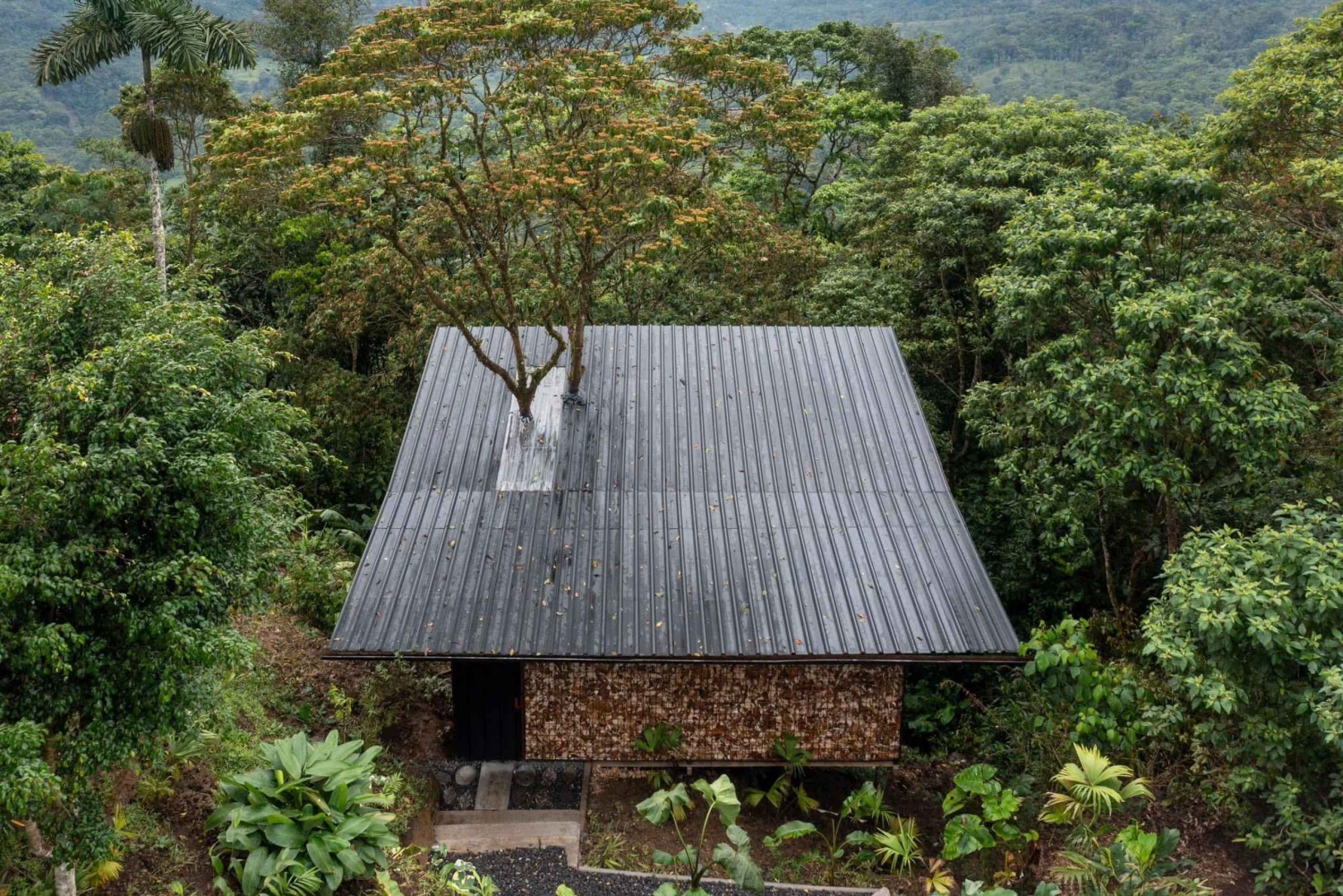 Quito: Experiência de 3 dias na Amazônia com spa e visita indígena