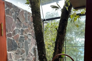 Quito: Experiência de 3 dias na Amazônia com spa e visita indígena