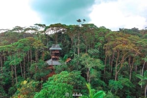 Quito: 3-Day Amazon Jungle Tour with Lodging & Meals
