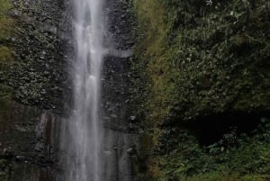 Quito: 3-Day Amazon Jungle Tour with Lodging & Meals