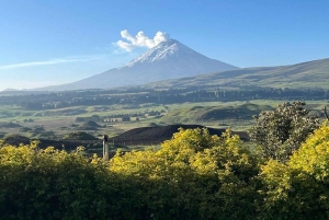 Quito: 3-Day Andes Tour with Cotopaxi, Quilotoa & Chimborazo