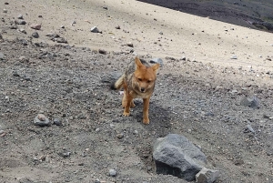 Quito: 3-Day Andes Tour with Cotopaxi, Quilotoa & Chimborazo