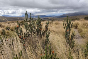 Quito: 3-Day Andes Tour with Cotopaxi, Quilotoa & Chimborazo