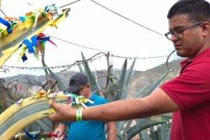 Quito: Agaveroute en Midden van de Wereld met proeverijen