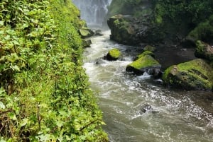 Quito og mere: De skjulte perler i de nordlige Andesbjerge