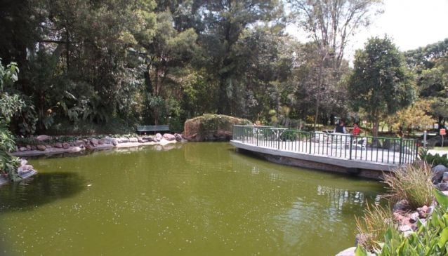 Quito Botanical Garden