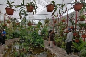 Quito: På cykel, utsiktsplats, marknader, parker, Basílica del Voto Nacional