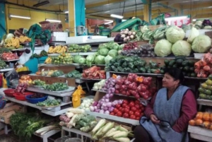 Quito: På cykel, utsiktsplats, marknader, parker, Basílica del Voto Nacional