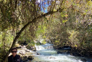 Linha da Cidade de Quito e Termas de Papallacta 2 Dias 1 Noite