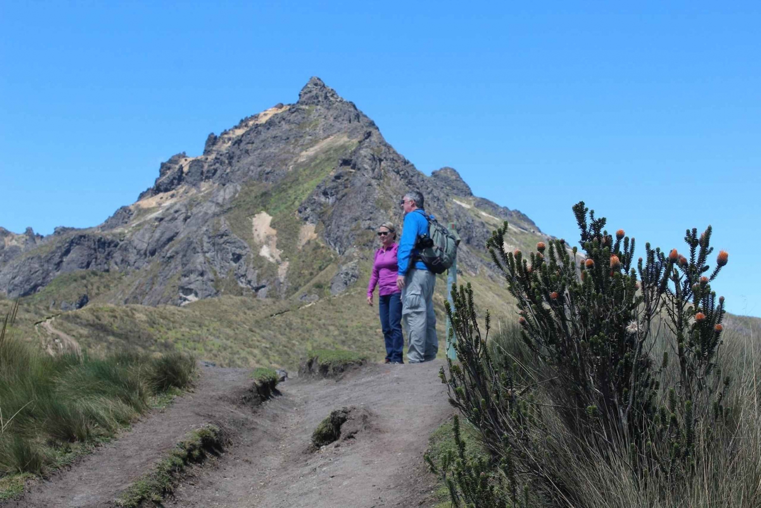 Quito: Bytur, Teleferico & Pichincha vulkanvandring