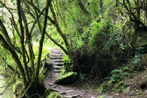 Quito: Condor Machay Waterfall Hike and Hacienda Visit