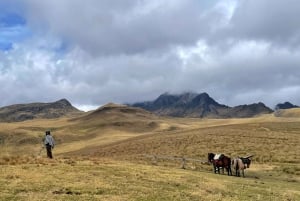 Quito: Condor Machay Waterfall Hike and Hacienda Visit