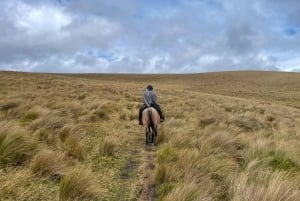 Quito: Condor Machay Waterfall Hike and Hacienda Visit