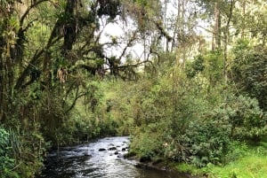 Quito: Condor Machay Waterfall Hike and Hacienda Visit