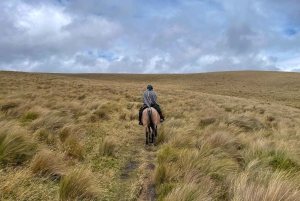 كيتو: جولة مشي طويلة إلى شلال كوندور ماتشاي وزيارة هاسيندا