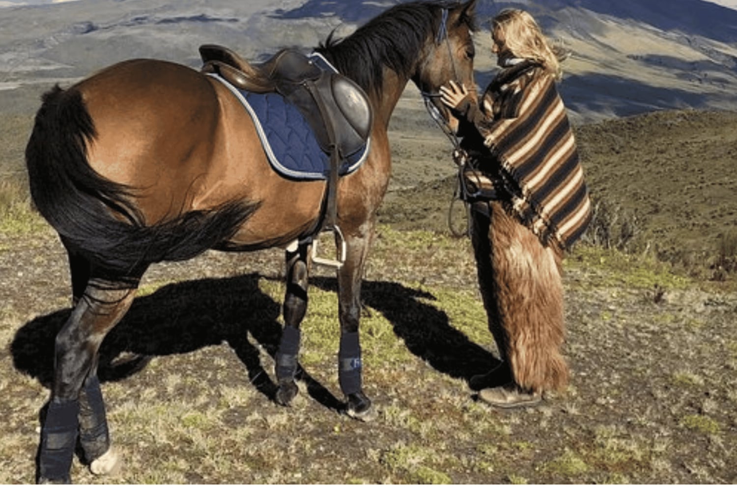 Quito: Ridning i nationalparken Cotopaxi med lunch