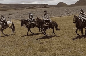 Quito: Ridning i nationalparken Cotopaxi med lunch