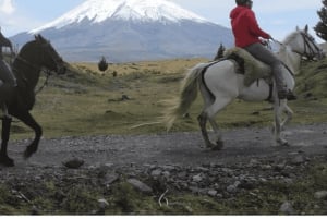 Quito: Ridning i nationalparken Cotopaxi med lunch