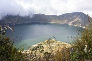 Vanuit Quito: Avontuur van Quito-Cotopaxi-Quilotoa in een dag