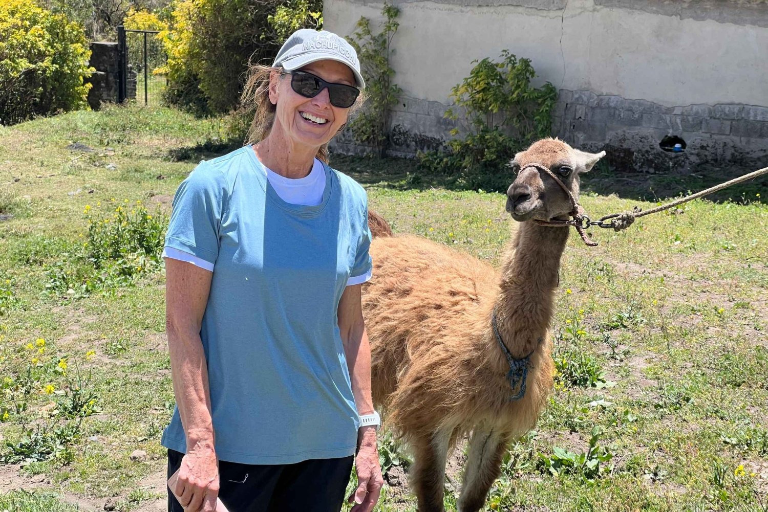 Quito: ruta de senderismo y bici por el Cotopaxi con guía