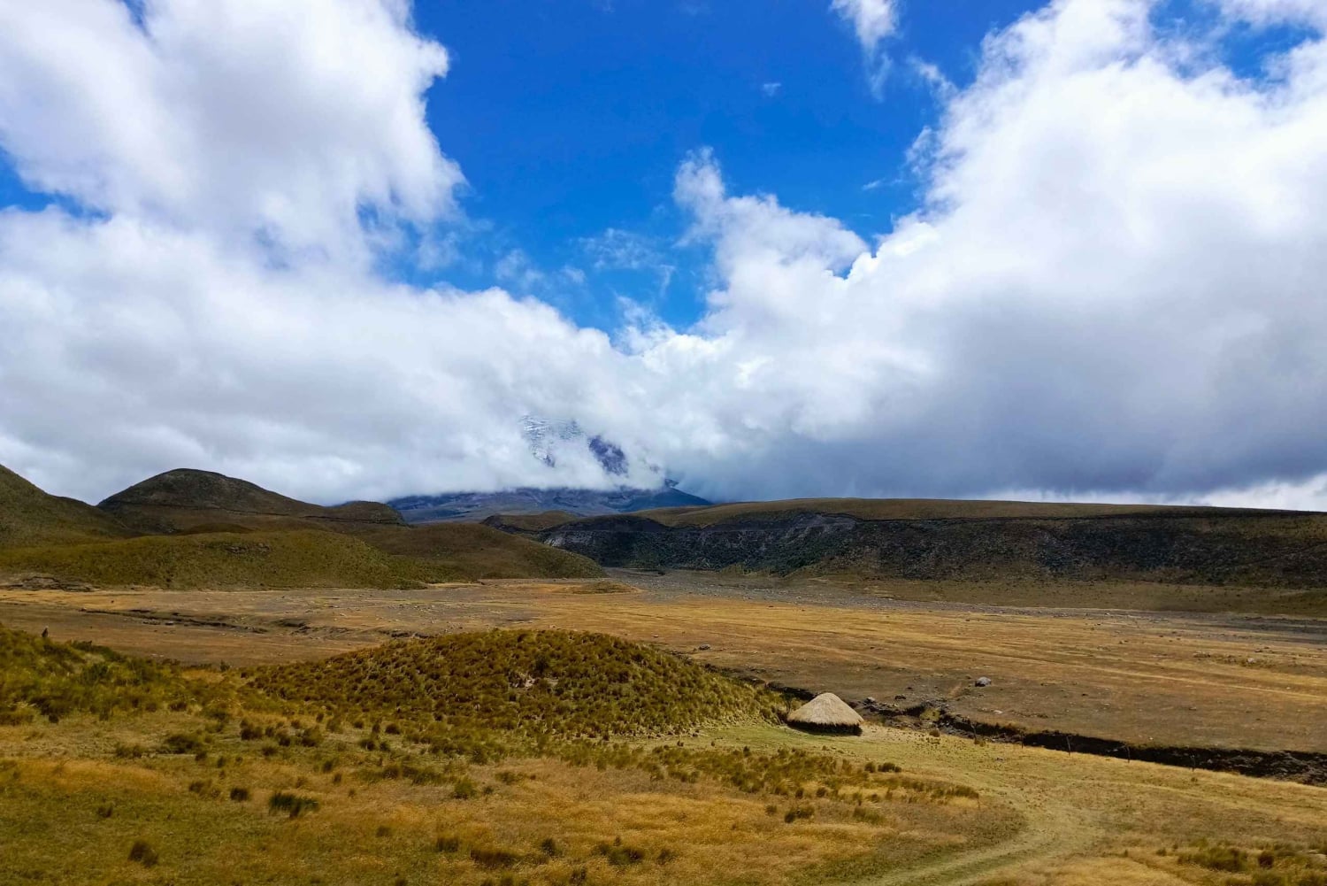 Quito: Cotopaxi Volcano Hike and Bike Tour with Guide