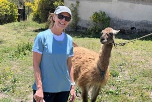 Quito: ruta de senderismo y bici por el Cotopaxi con guía