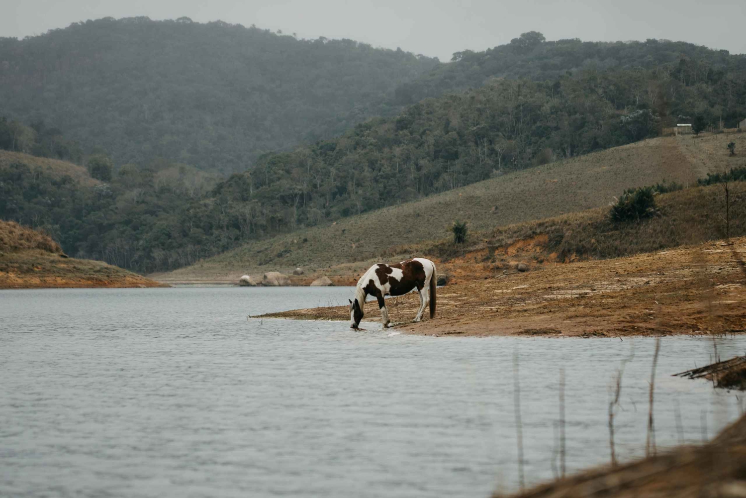 Quito, Ecuador: Cotopaxi-ridetur