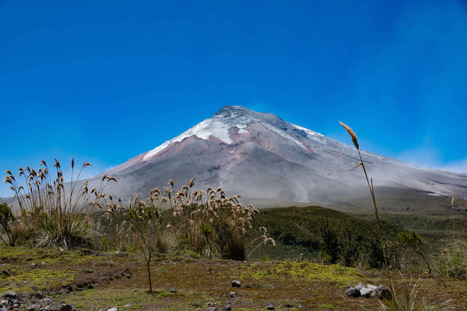 Quito, Ecuador: Cotopaxi-ridetur