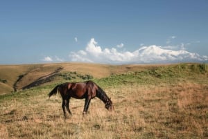 Quito, Ecuador: Ridäventyr i Cotopaxi