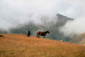 Quito, Ecuador: Ridäventyr i Cotopaxi