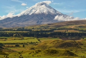 Quito, Ecuador: Cotopaxi-ridetur