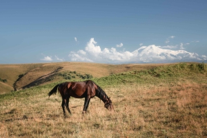 Quito, Ecuador: Cotopaxi-ridetur