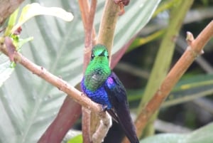 كيتو: جولة خط الاستواء والكنوز المخفية مع تذوق البيرة