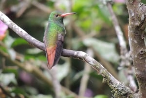 كيتو: جولة خط الاستواء والكنوز المخفية مع تذوق البيرة