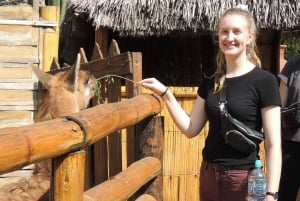 كيتو: جولة خط الاستواء والكنوز المخفية مع تذوق البيرة